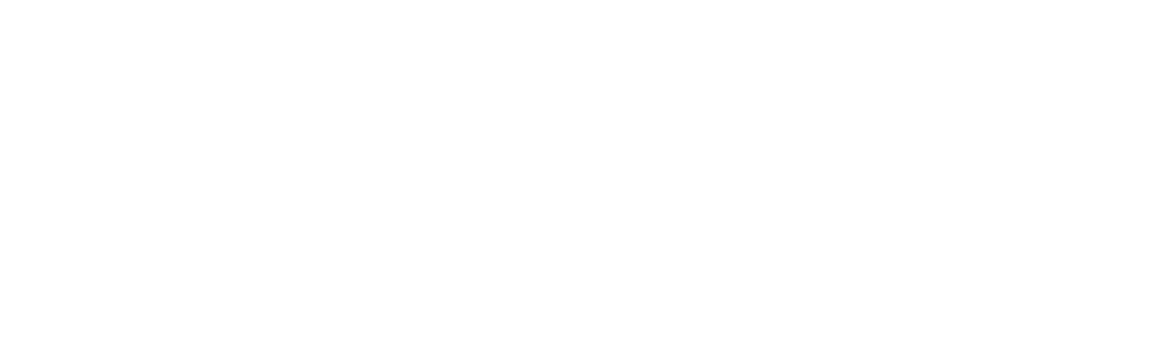 light logo